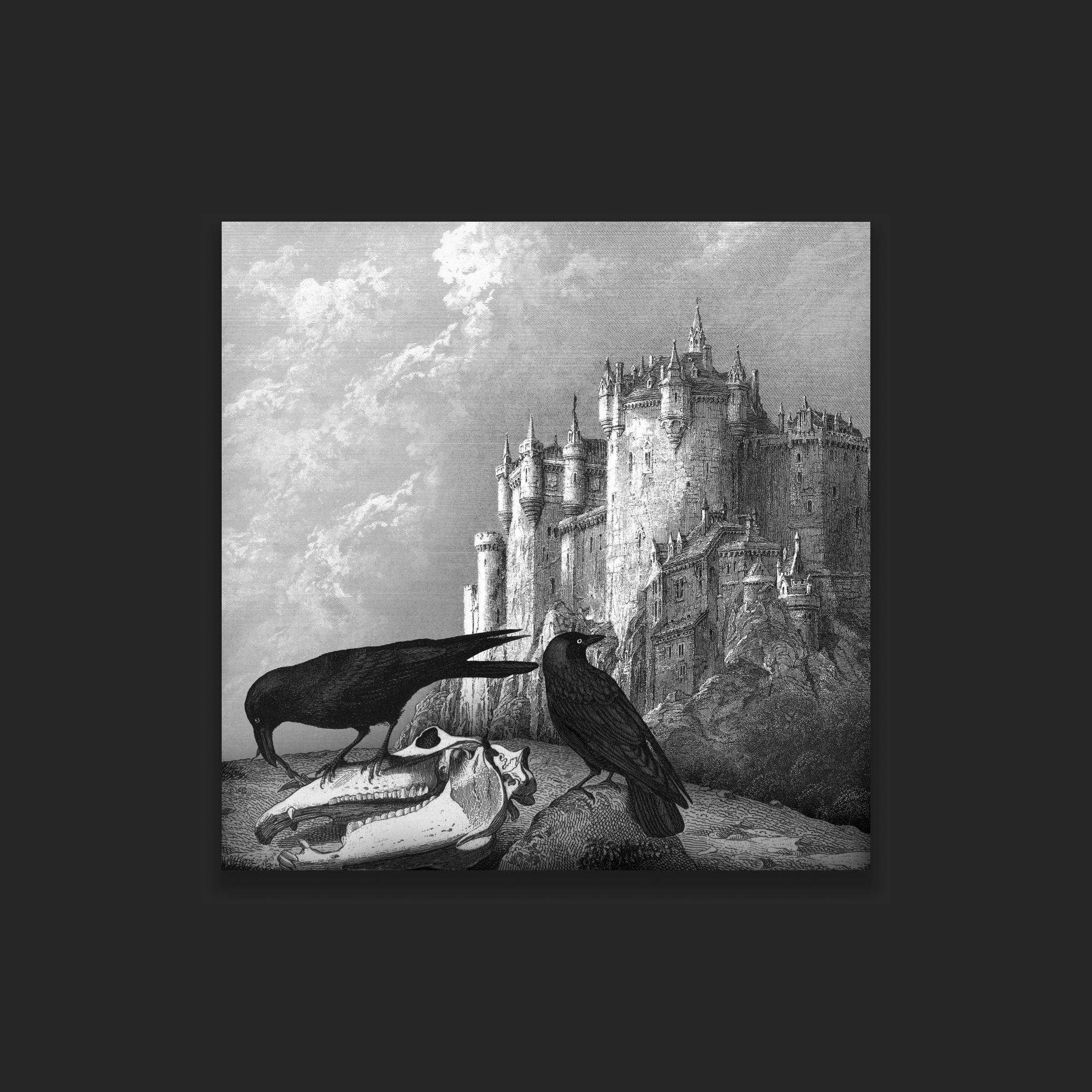 maddenizen-cover